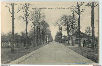 39303 - MESNIL SELLIERES - LA BELLE EPINE, COTE PINEY