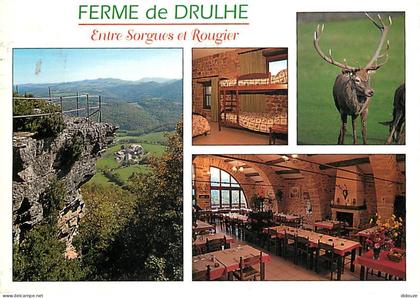Carte Postale - 12 - Saint Félix de Sorgues - Ferme de Drulhe entre Sorgues et Rougier - Multivues - CPM - Voir Scans Re