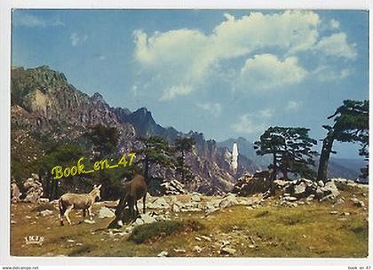 {92631} 20 2A Corse du Sud , Bavella