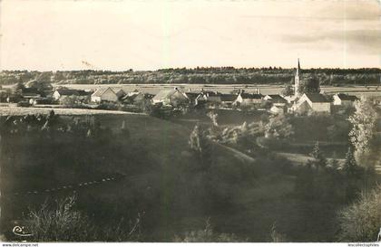 51043 - BUXEROLLES - CPSM - VUE GENERALE