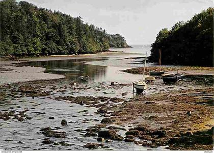 Carte Postale - 29 - Finistère - De la mer et des bois de Concarneau à La Foret Fouesnant - Anse de Saint Laurent - Flam