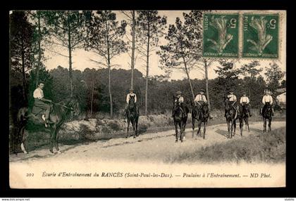 40 - ST-PAUL-DES-DAX - ECURIE D'ENTRAINEMENT DU RANCES - POULAINS A L'ENTRAINEMENT