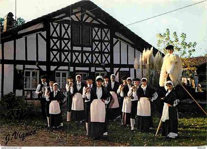 Carte Postale - 40 - Landes - Folklore - Groupe Folklorique Lous Crabots de Semisens - Saint Vincent De Tyrosse - Echass