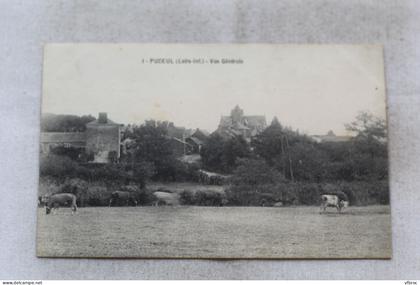 Puceul, vue générale, Loire Atlantique 44