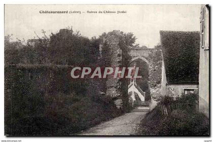 CPA Chateaurenard Ruines du chateau feodal