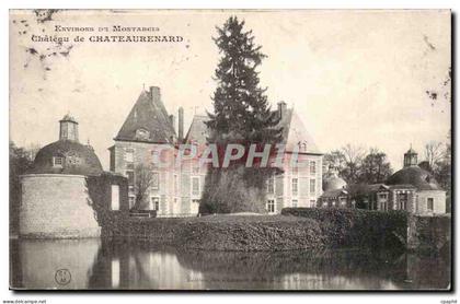 CPA Environs de Montargis Chateau de Chateaurenard