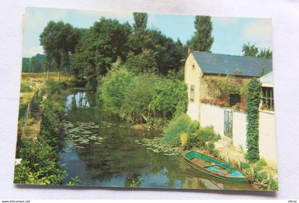 Cpm 1987, Chateaurenard du Loiret, les bords de l'Ouanne, Loiret 45