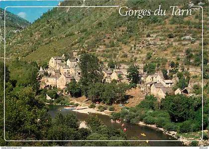 48 - Hauterive - Vue Générale - CPM - Voir Scans Recto-Verso