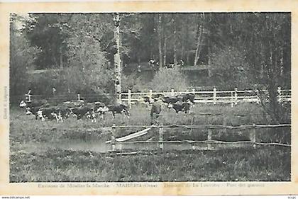 CPA Environs de Moulins la Marche - Mahéru - Domaine de la Louvière - parc des génisses