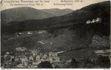 Jungholz mit Thierenbach