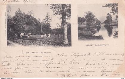 MELISEY(TIRAGE 1900) VACHE