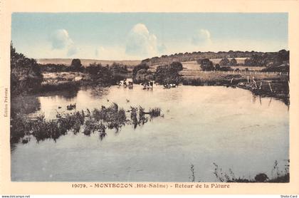 70 MONTBOZON RETOUR DE LA PATURE