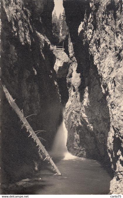 Servoz 74 - Photographie - Les Gorges de la Diosaz - Photographie Fumex