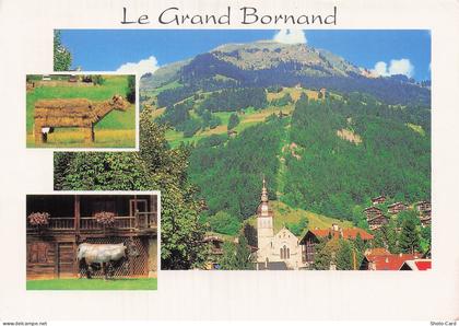 74 LE GRAND BORNAND LE GRAND BORNAND