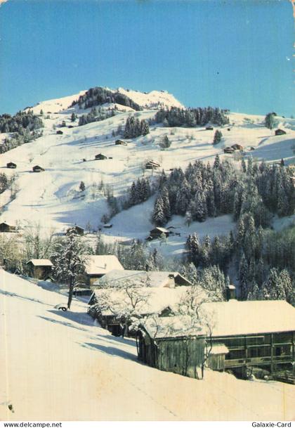 74 LE GRAND BORNAND LE GRAND BORNAND