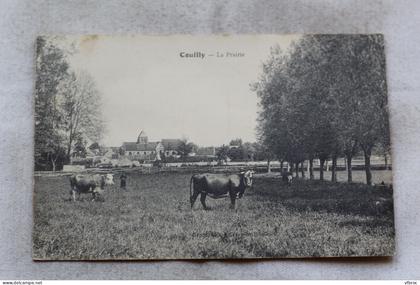 Couilly, la prairie, Seine et Marne 77
