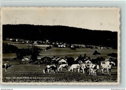 11064250 - La Jonchere