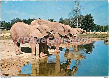 CPSM Parc de Saint Vrain (Essonne) Elephants