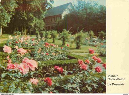 95 - Maffliers - Manoir Notre Dame - La Roseraie - Roses - Fleurs - CPM - Voir Scans Recto-Verso