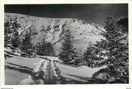 74 - Abondance - Col de l'Ecueil - Hiver Neige  - CPM - Voir Scans Recto-Verso