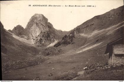 CPA Abondance Le Mont Briou