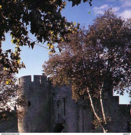 CPM Aigues Mortes