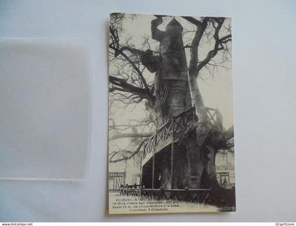 ALLOUVILLE BELLEFOSSE Le Gros Chêne  Carte Postale