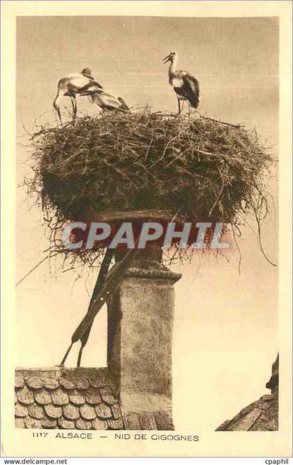 CPA Alsace Nid de Cigognes