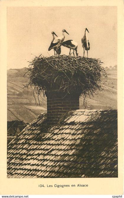 CPA Les Cigognes en Alsace