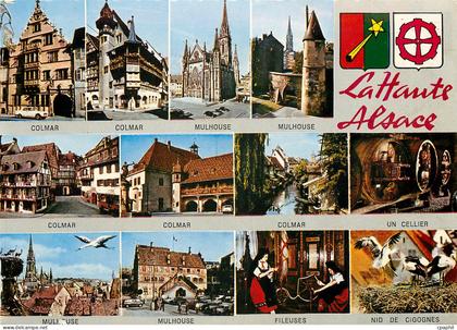 CPM Lattante Alsace
