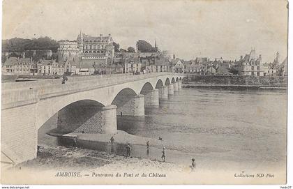 Amboise - Panorama du Pont et du Château