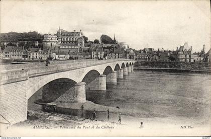 CPA Amboise Panorama Du Pont Et Du Chateau