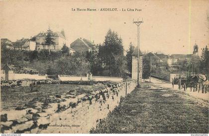 55925 - ANDELOT BLANCHEVILLE - LA COTE PROT