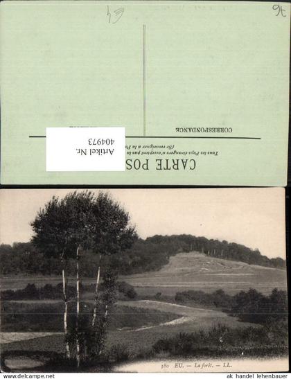 404973,Haute-Normandie Seine-Maritime Eu La foret Landschaft Wald
