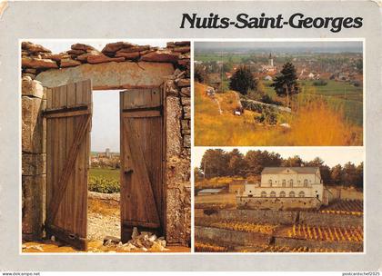 B49712 Nuits Saint Georges multi vues    france