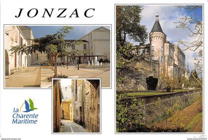 B50281 Jonzac multi vues  france