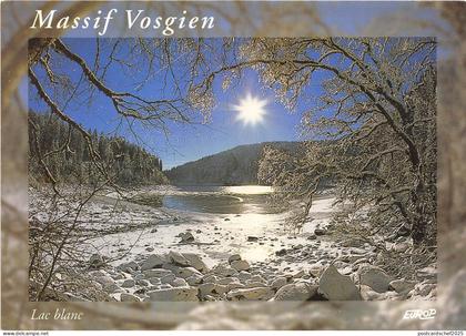 B53064 Orbey Lac blanc  france