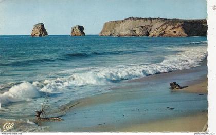 BF19565 hedaye les 2 jumeaux   lyon france  front/back image