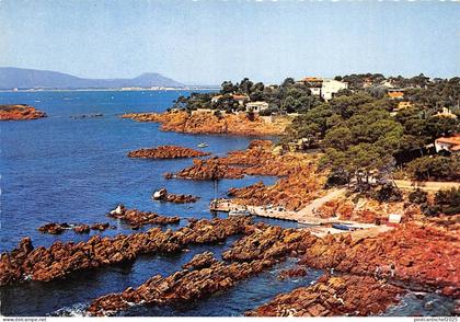 BR13275 Santa Lucia Saint Raphael   france