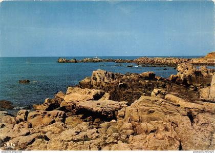 BR14753 le Croisic Pointe du croisic    france