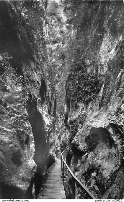 BR16563 Arles sur tech essi Arles  france