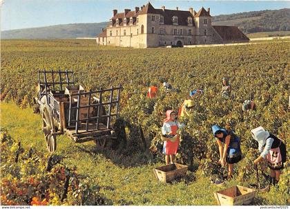BR23013 Les Vendanges en Bourgogne   france