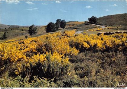 BR2525 France Limousin paysage