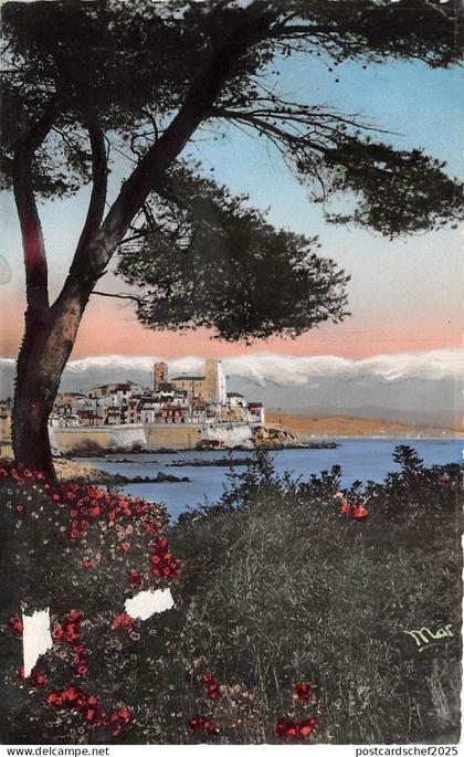 BR26704 Antibes les remparts et les alpes France