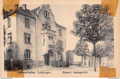 BR37488 Chateau Salins Lothringen france