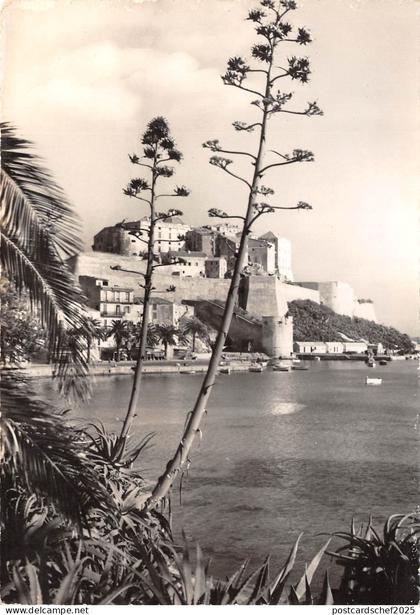 BR39137 Calvi france