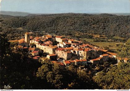 BR48987 Vue aerienne Ramatuelle      France
