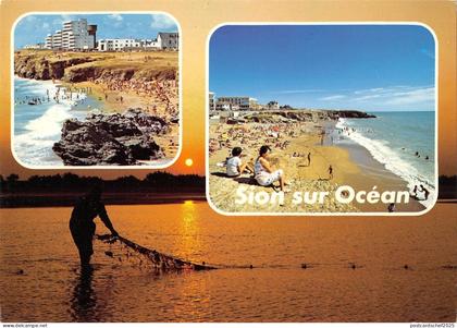 BT12854 Saint hilaire de RIez sion sur ocean        France