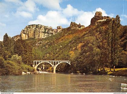 BT4827 Gorges du tarn le tarn du rozier France