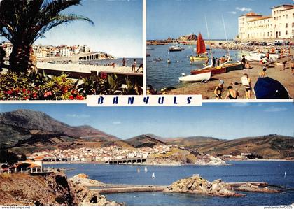 BT5084 Banyuls sur mer        France